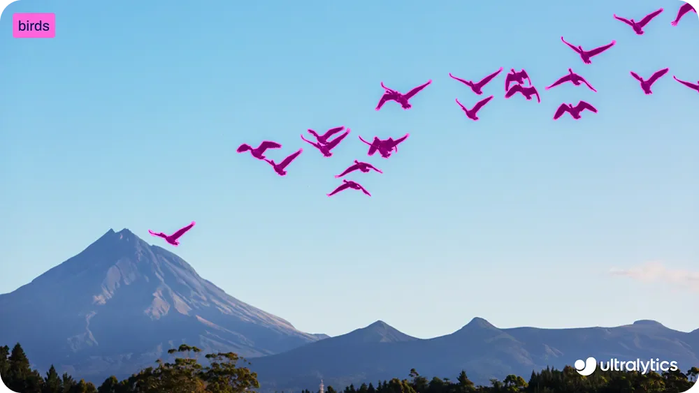 YOLOE-26 segment đàn chim bay real-time với prompt 'birds'