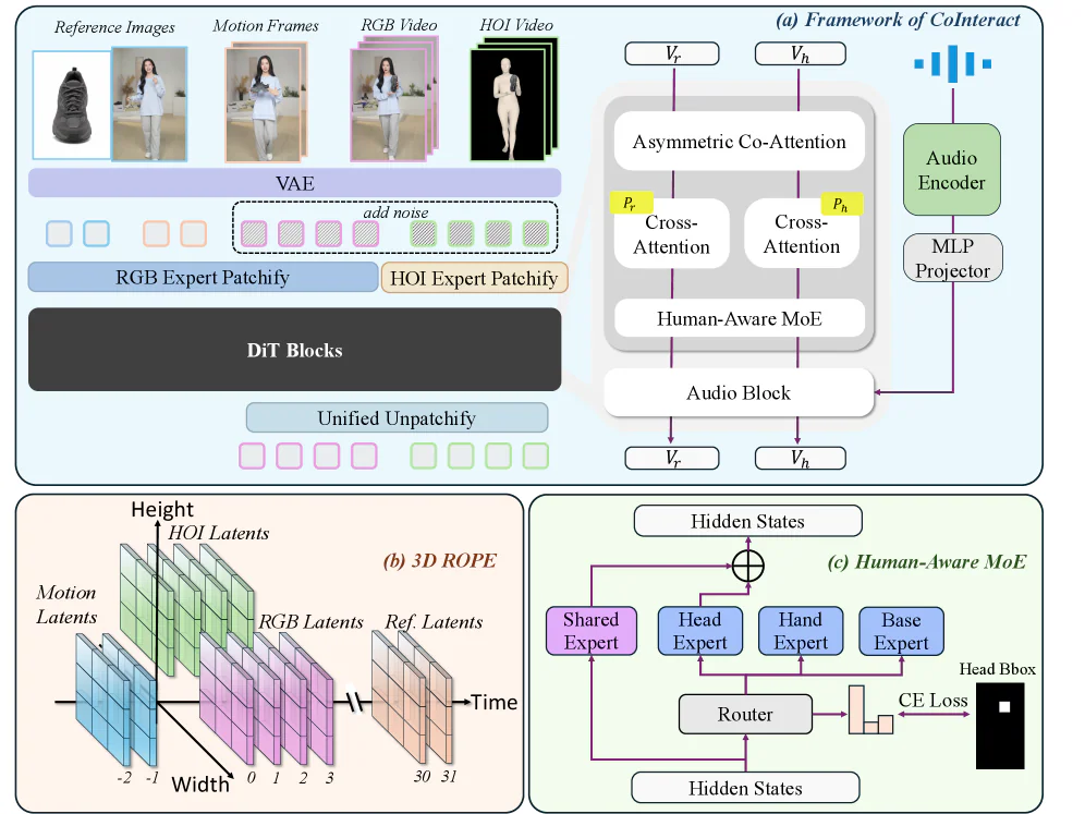 Kiến trúc CoInteract: dual-stream DiT với Human-Aware MoE và Asymmetric Co-Attention