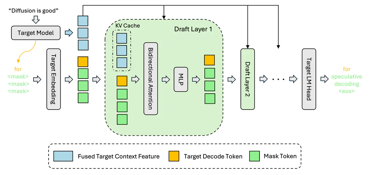 DFlash block diffusion drafter architecture