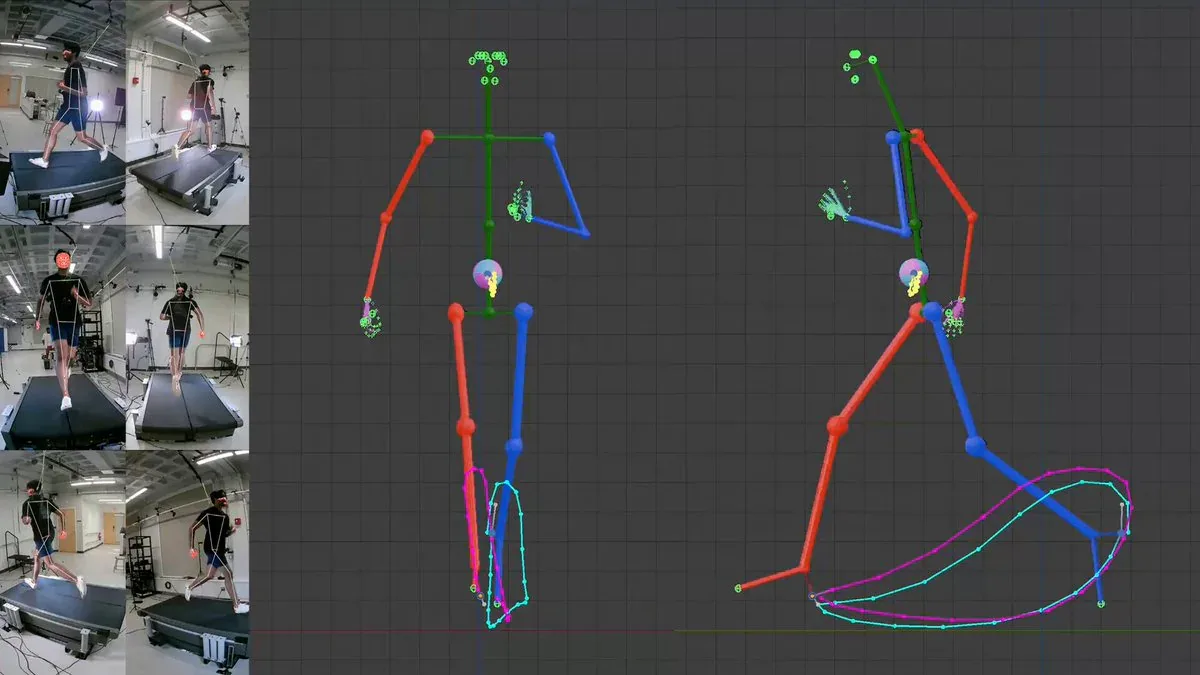 FreeMoCap multi-camera setup và 3D skeleton reconstruction