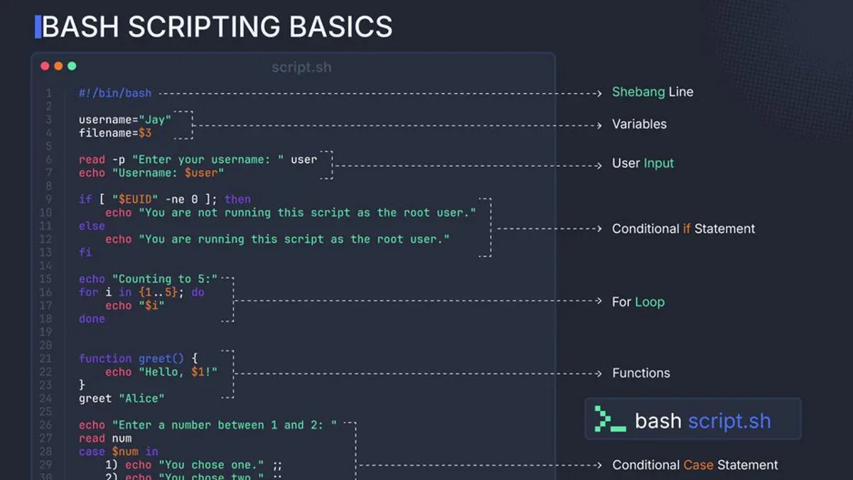 Bash Scripting Basics infographic by sysxplore