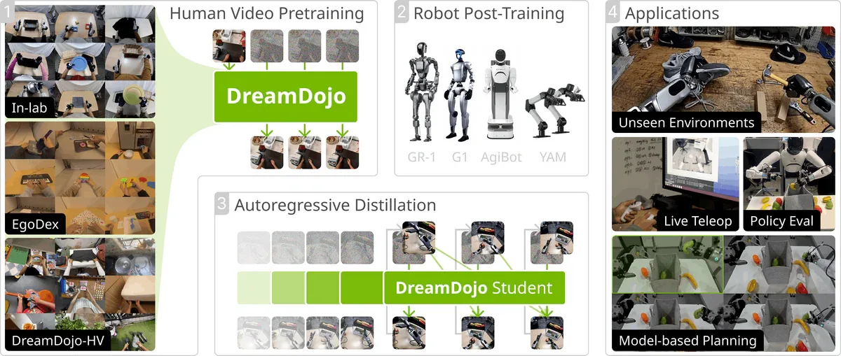 DreamDojo pipeline: Human Video Pretraining, Robot Post-Training và Autoregressive Distillation