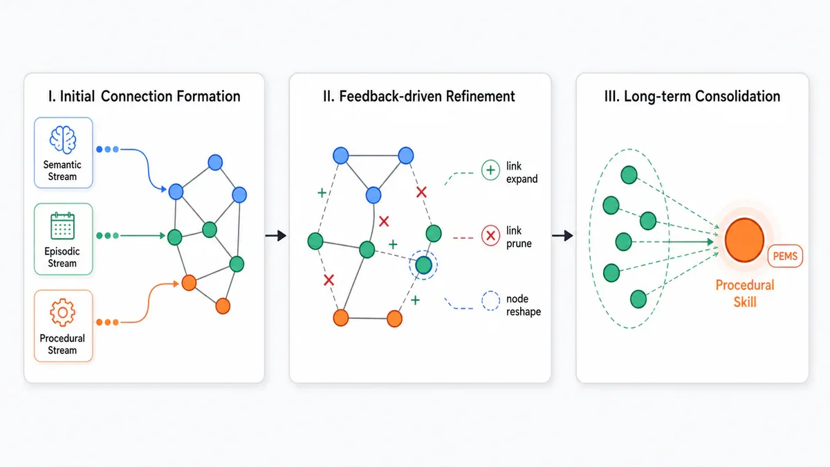 Ba giai đoạn tiến hóa của FluxMem: Initial Connection Formation, Feedback-driven Refinement, Long-term Consolidation